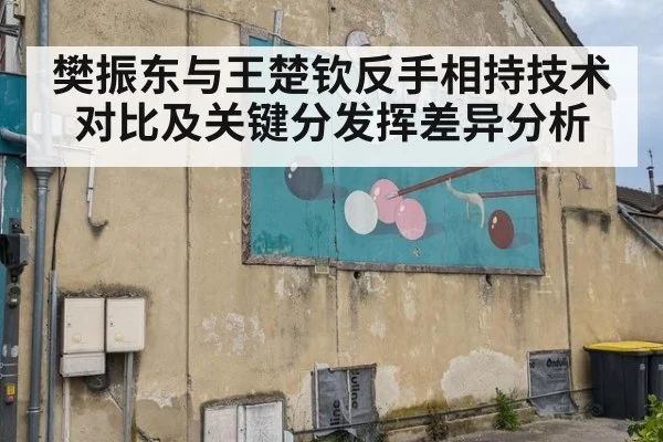 樊振东与王楚钦反手相持技术对比及关键分发挥差异分析
