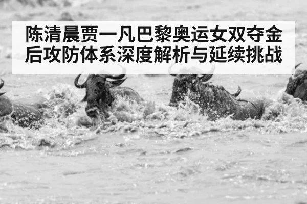 陈清晨贾一凡巴黎奥运女双夺金后攻防体系深度解析与延续挑战
